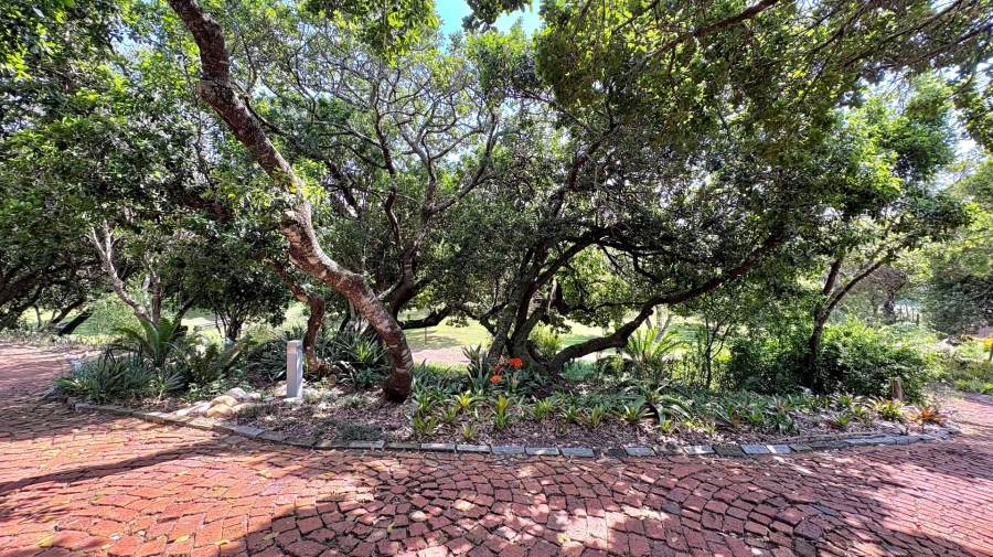 6 Bedroom Property for Sale in Lovemore Park Eastern Cape